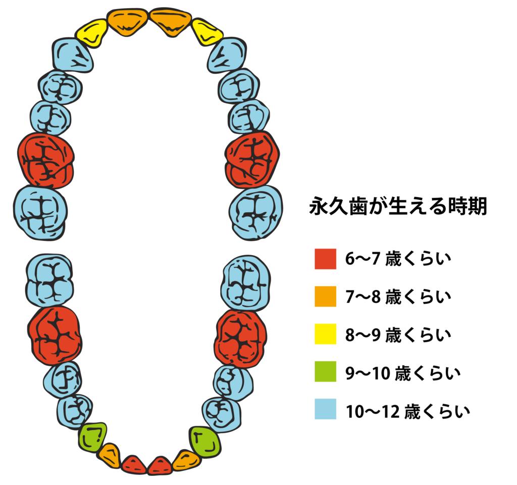 😫「歯じゃなくて歯肉が痛い…」それ、歯周病かもしれ...